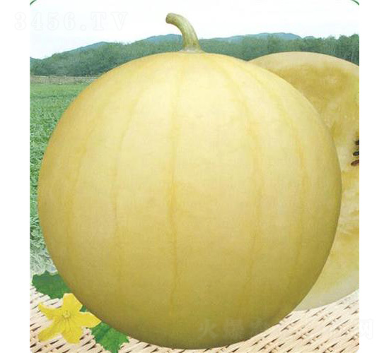 ��ͯ-���ϷN��-��̩�_