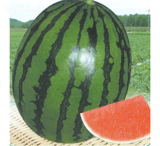 �A�ۣ���Ʒ����������-���ϷN��-��̩�_(d��)