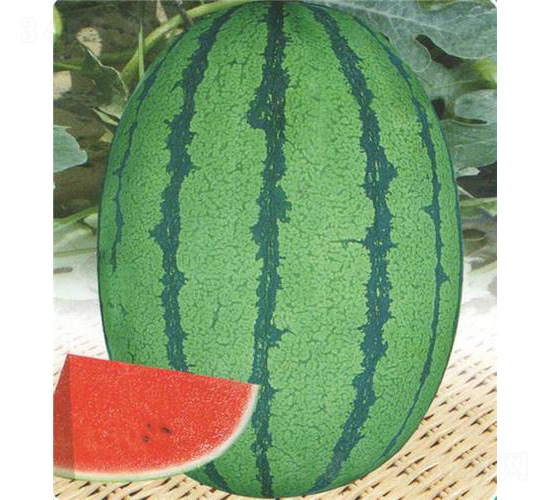 ����3̖(h��o)-���ϷN��-��̩�_(d��)