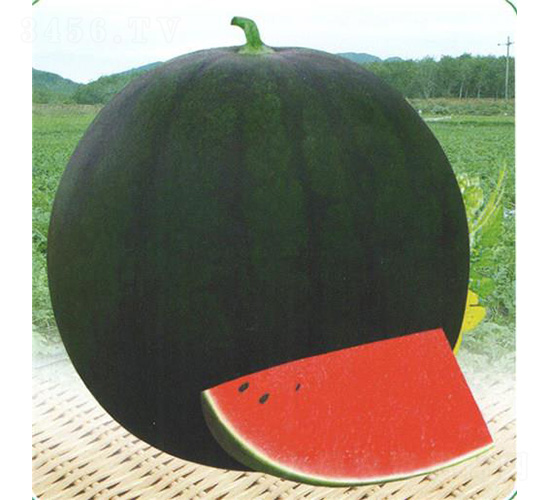 ���_(d��)һ̖(h��o)����-���ϷN��-��̩�_(d��)