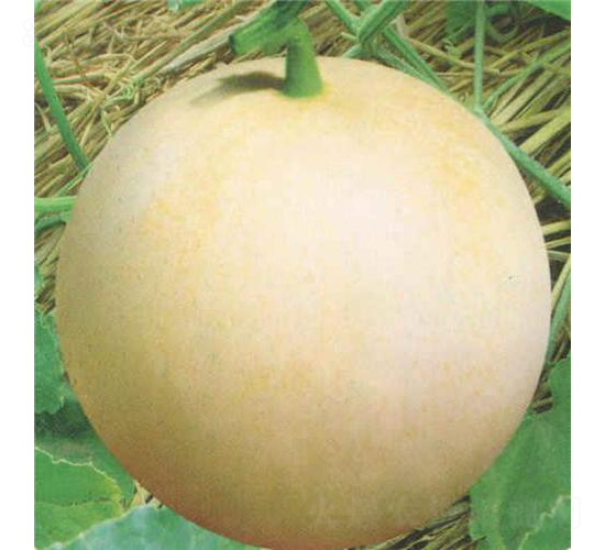 ����һ̖���-��ϷN��-��̩�_(d��)