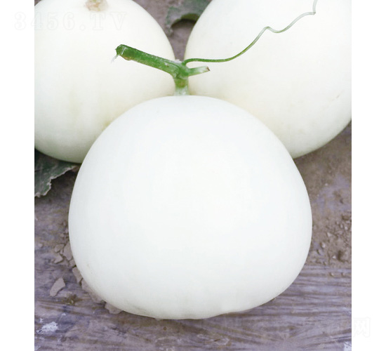 ��������-��ϷN��-��̩�_(d��)