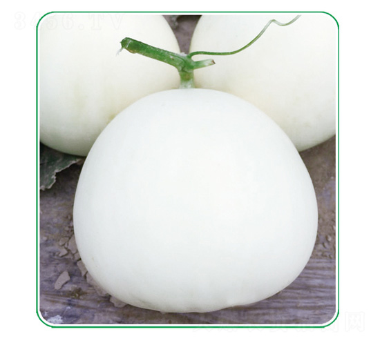 �����-��ϷN��-��̩�_(d��)