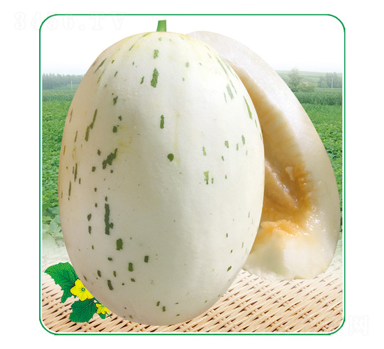 ����һ̖-��ϷN��-��̩�_