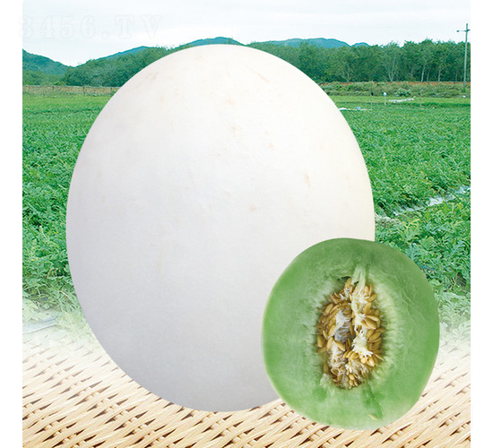 �y�������-��ϷN��-��̩�_(d��)