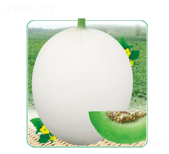 �y����-��ϷN��-��̩�_(d��)