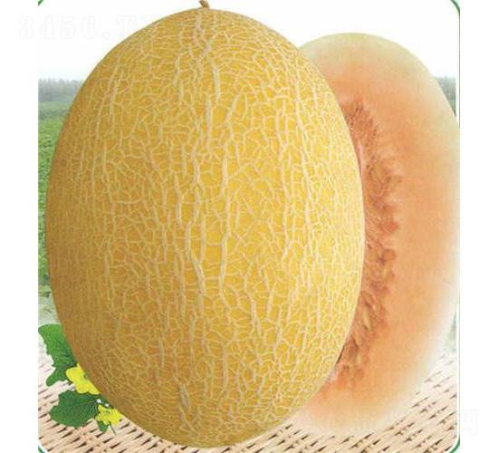 �¿�һ̖(h��o)���-��ϷN��-��̩�_(d��)