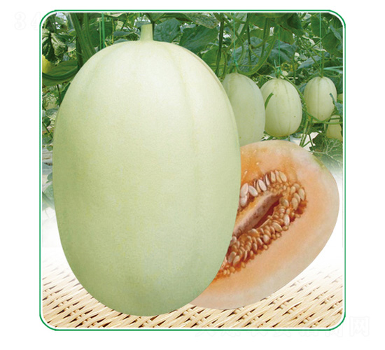 �|����-��ϷN��-��̩�_(d��)