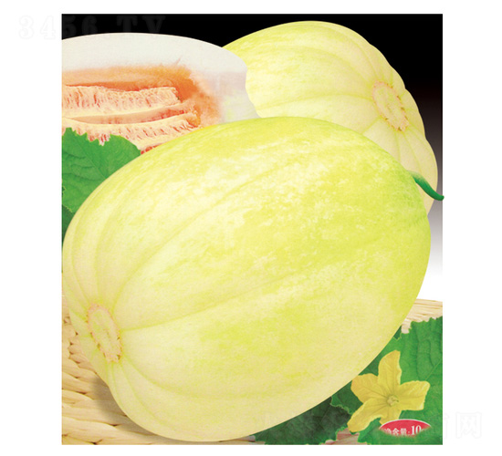 ����-��ϷN��-��̩�_(d��)