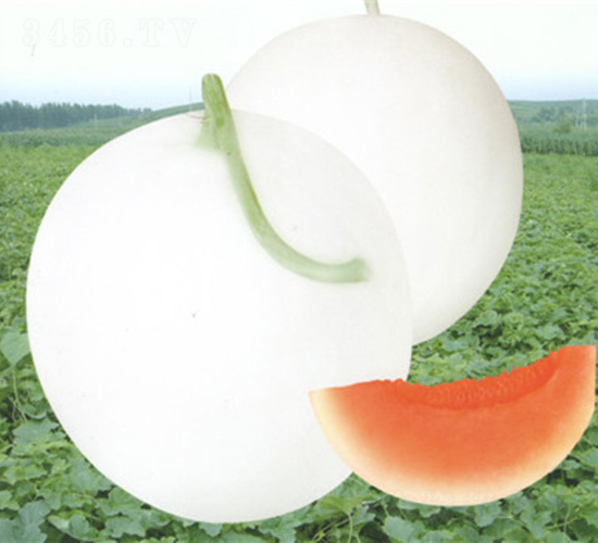 ��t��2̖(h��o)���-��ϷN��-��̩�_(d��)