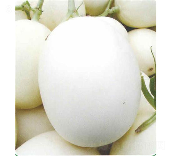 �ļ��y�tһ̖���-��ϷN��-��̩�_