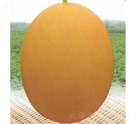 �ļ���t��̖(h��o)���-��ϷN��-��̩�_(d��)