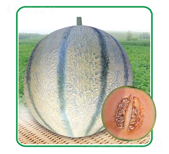 ʮȫʮ��-��ϷN��-��̩�_