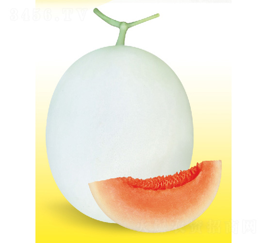 ����-��ϷN��-��̩�_(d��)