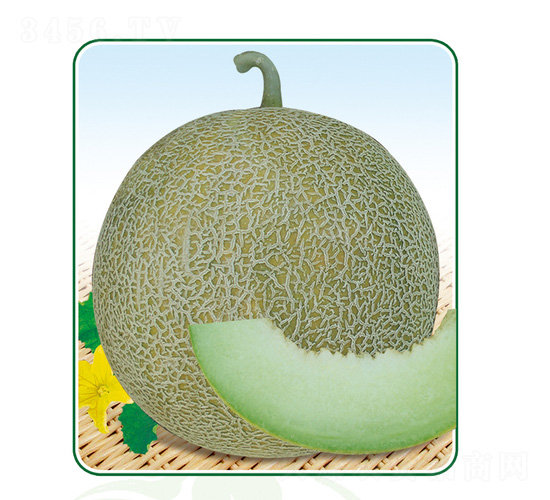 �G�����-��ϷN��-��̩�_(d��)