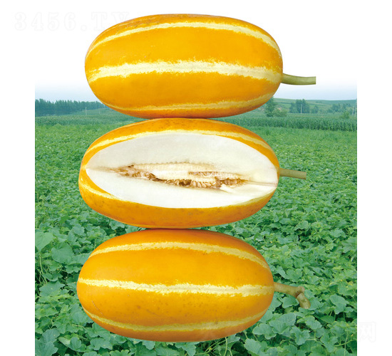 ����M�ã�20M��3194�����-��ϷN��-��̩�_(d��)