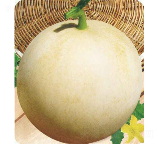 �A����-��ϷN��-��̩�_(d��)