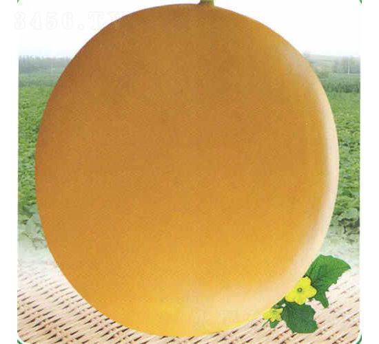 �t�����-��ϷN��-��̩�_(d��)