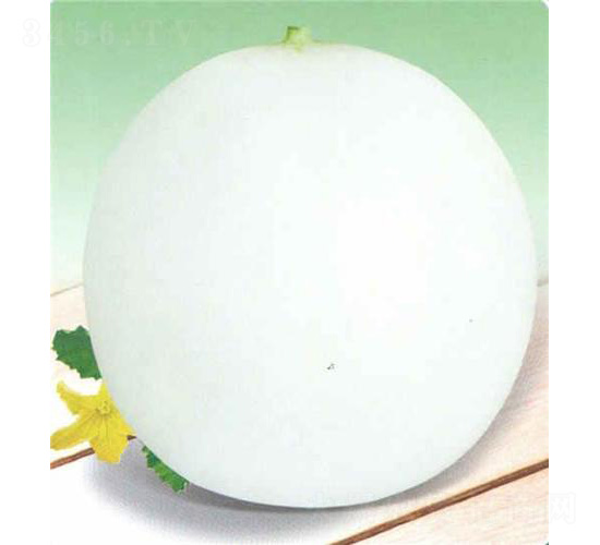 �������-��ϷN��-��̩�_(d��)