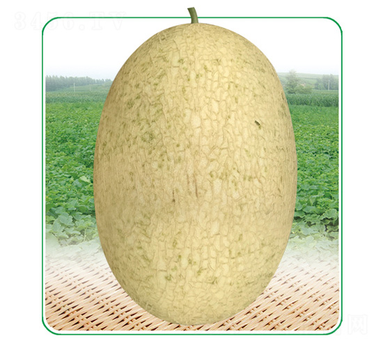 ��̩��4̖(h��o)-��ϷN��-��̩�_(d��)