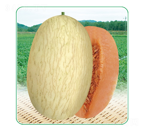 ��̩��3̖(h��o)-��ϷN��-��̩�_(d��)