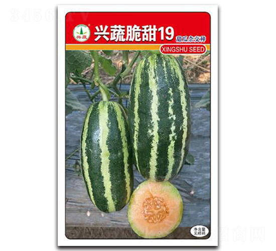 �d�ߴ���19-��ϷN��-�d�߷N�I(y��)