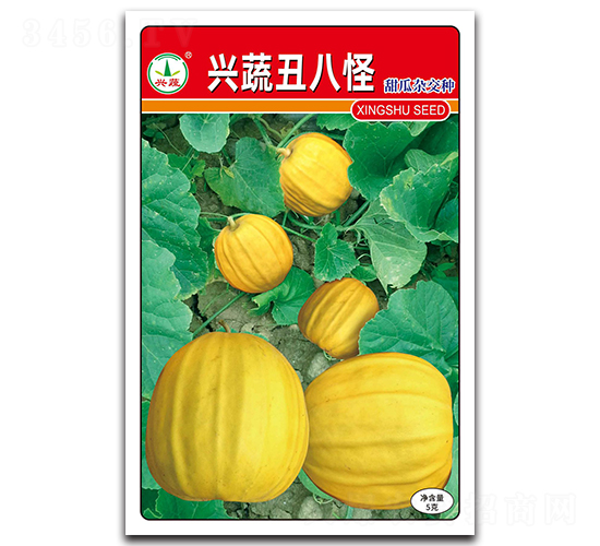 �d�߳�˹�-����ϷN��-�d�߷N�I(y��)