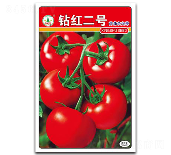 �@�t��̖(h��o)-���ѷN��-�d�߷N�I(y��)