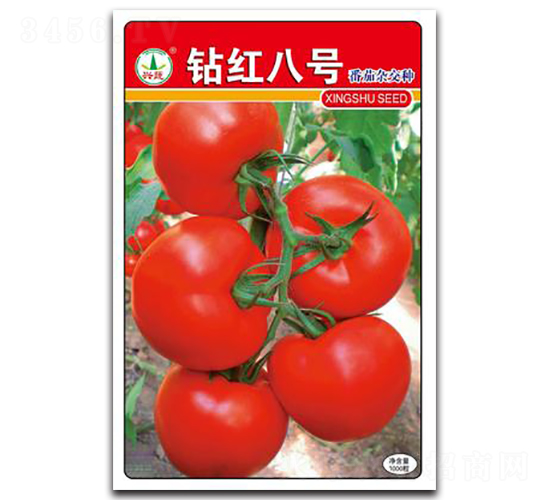 �@�t��̖(h��o)-���ѷN��-�d�߷N�I(y��)