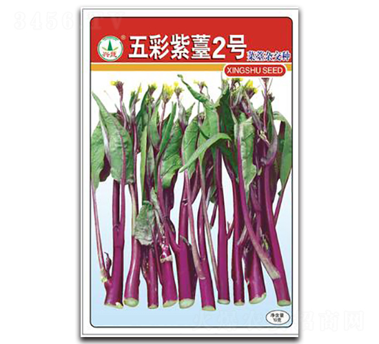 �����޷2̖(h��o)-��̦�N��-�d�߷N�I(y��)