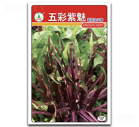 �������-��̦�N��-�d�߷N�I(y��)