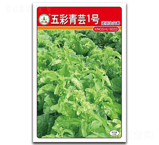 ������|1̖(h��o)-��̦�N��-�d�߷N�I(y��)