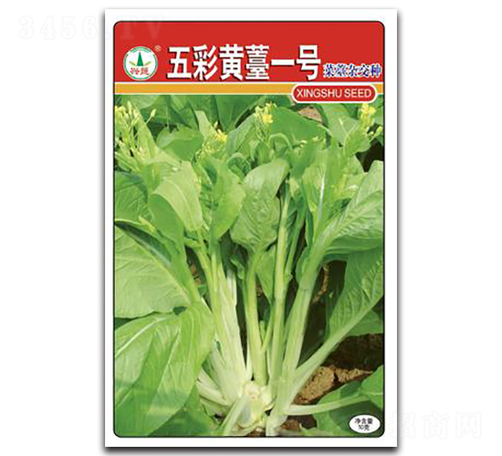 ����Ș1̖(h��o)-��̦�N��-�d�߷N�I(y��)