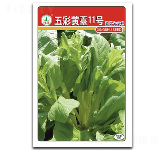 ����S޷11̖(h��o)-��̦�N��-�d�߷N�I(y��)