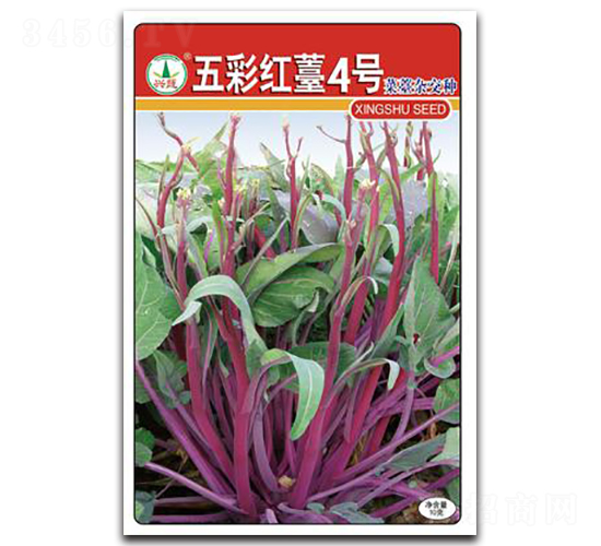 ��ʼt޷��̖-��̦�N��-�d�߷N�I(y��)