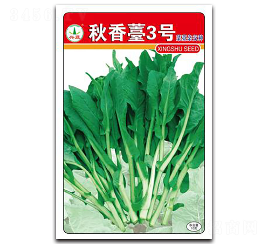 ����̦3̖-��̦�N��-�d�߷N�I(y��)