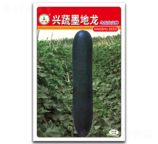 �d��ī����-���ϷN��-�d�߷N�I(y��)