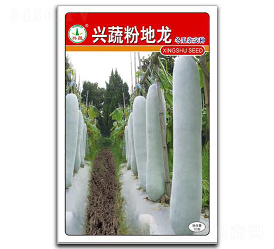 �d�߷۵���-���ϷN��-�d�߷N�I(y��)