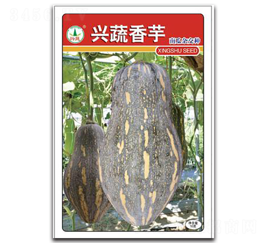 �d������-�ϹϷN��-�d�߷N�I(y��)