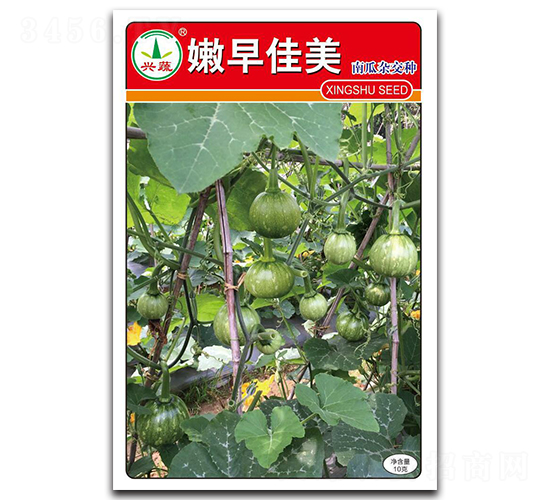 �������-�ϹϷN��-�d�߷N�I(y��)