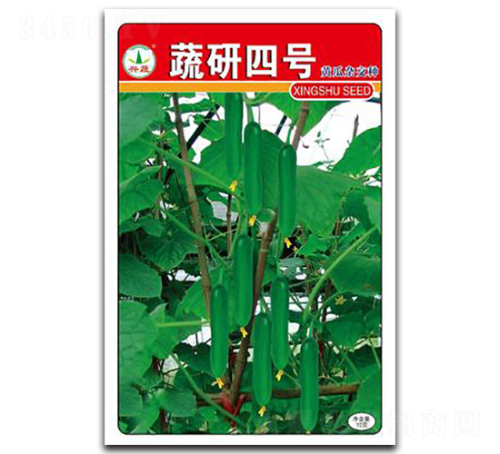 ����4̖(h��o)-�S�ϷN��-�d�߷N�I(y��)