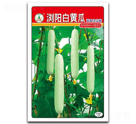 �g�(y��ng)���S��-�S�ϷN��-�d�߷N�I(y��)