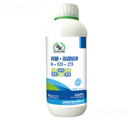 ���ǁ������0-525-275-���S����