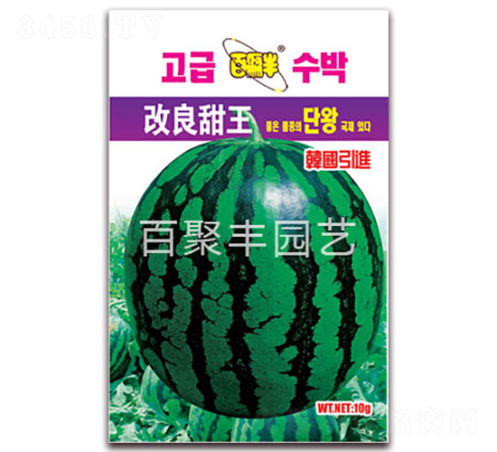 ��������-���ϷN��-�پ��S