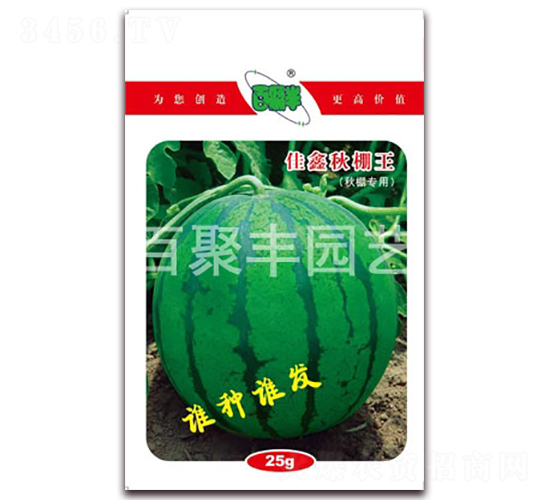 ����������-���ϷN��-�پ��S