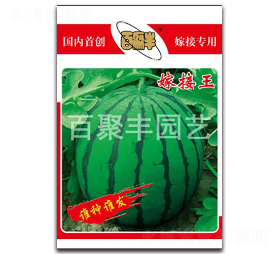 �޽���-���ϷN��-�پ��S