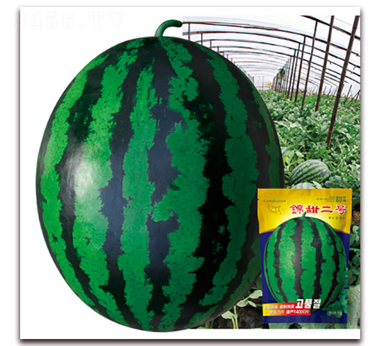 �\���̖(h��o)-���ϷN��-�پ��S