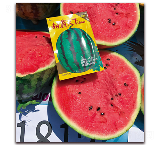 �������-���ϷN��-�پ��S