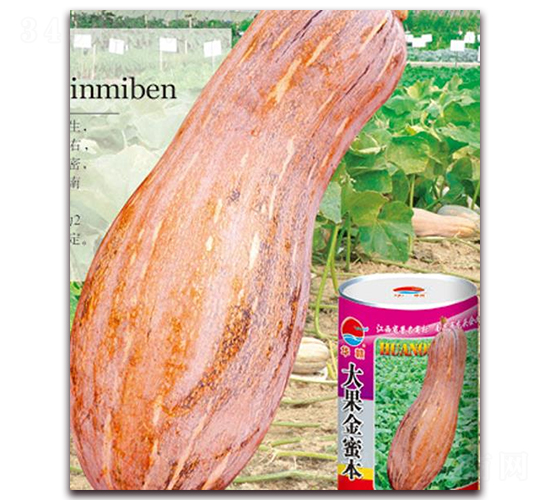 ������۱�-�ϹϷN��-�A�r(n��ng)�N�I(y��)