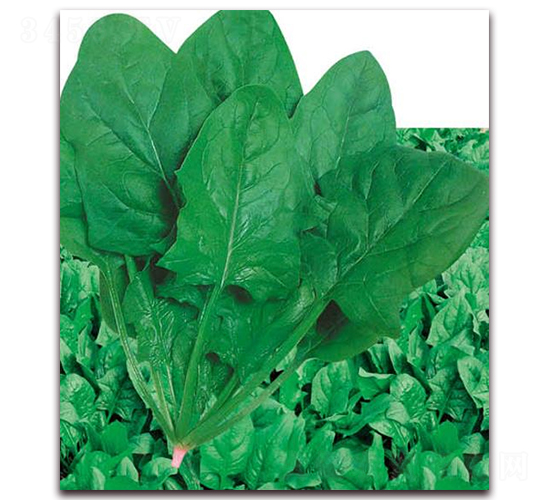 ����������������-���˷N��-�A�r(n��ng)�N�I(y��)